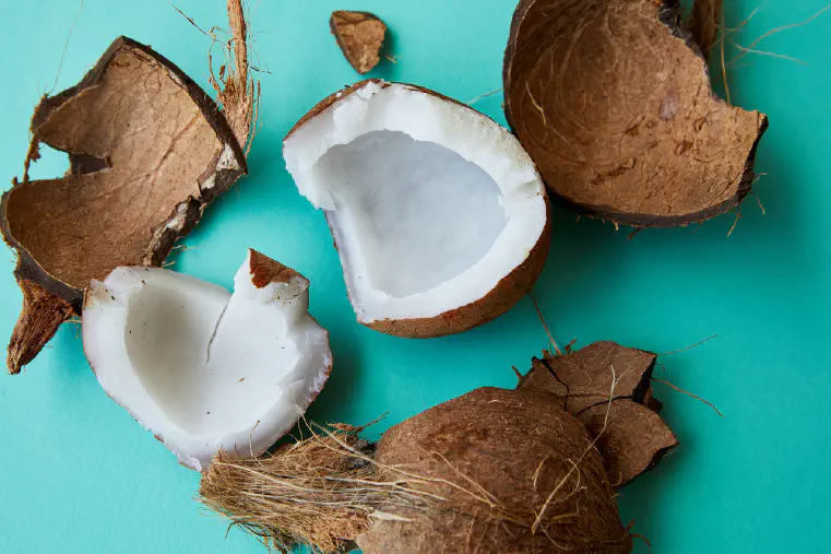 Coconut Milk Benefits